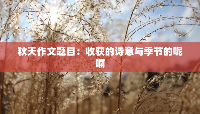 秋天作文题目：收获的诗意与季节的呢喃