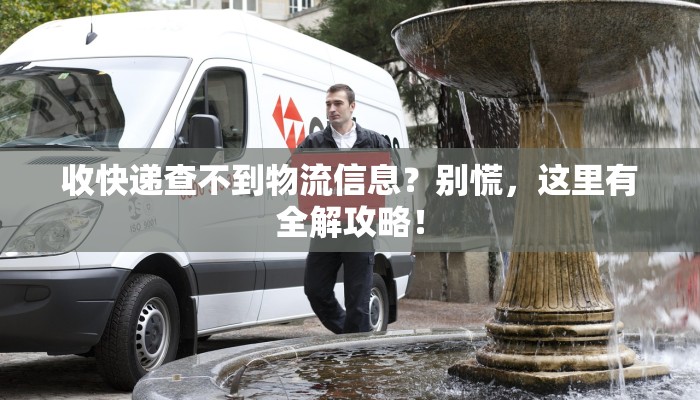 收快递查不到物流信息?别慌,这里有全解攻略! 收快递查不到物流信息?别慌,这里有全解攻略!