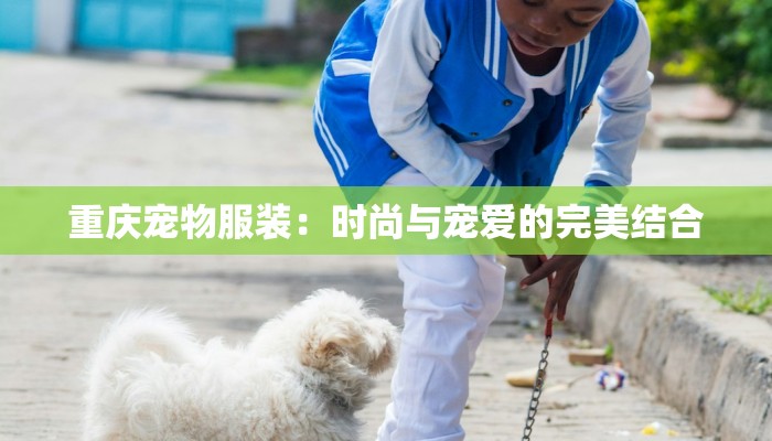 西安疫情分布目录最新