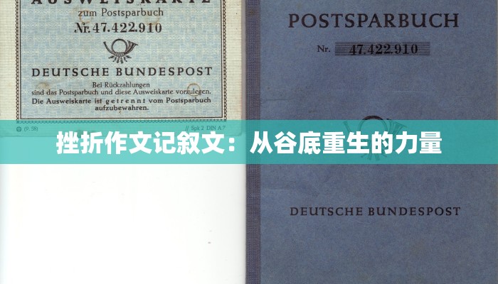 挫折作文记叙文：从谷底重生的力量