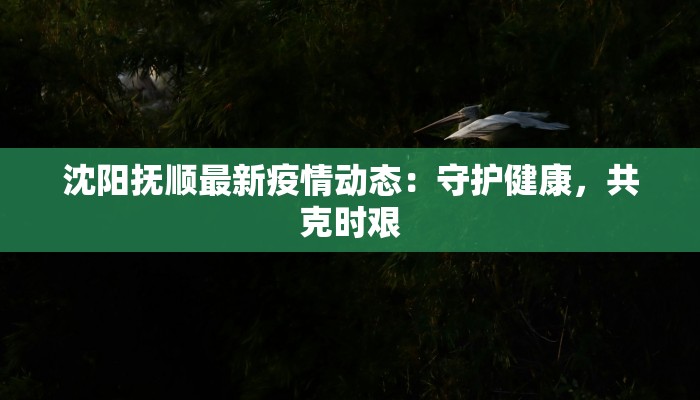 沈阳抚顺最新疫情动态:守护健康,共克时艰 沈阳抚顺最新疫情动态:守护健康,共克时艰