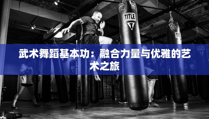 武术舞蹈基本功：融合力量与优雅的艺术之旅