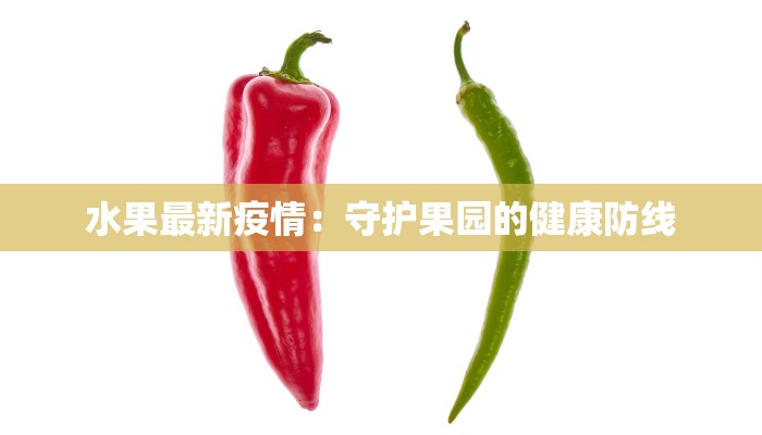 卡伦湖疫情最新：守护蓝天碧水，健康生活从这里启航