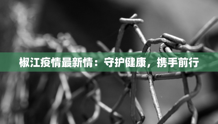 洋山港疫情最新：守护蓝色门户的坚韧与希望